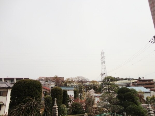 TheCenturyMiyazakidaiの物件内観写真